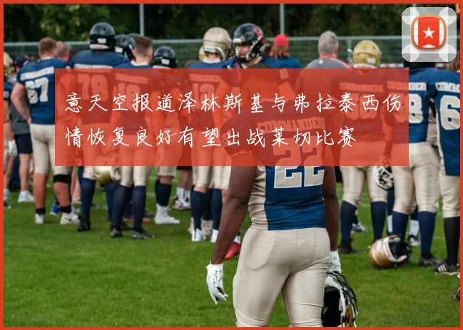 意天空报道泽林斯基与弗拉泰西伤情恢复良好有望出战莱切比赛