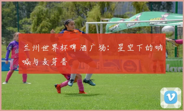 兰州世界杯啤酒广场:星空下的呐喊与麦芽香