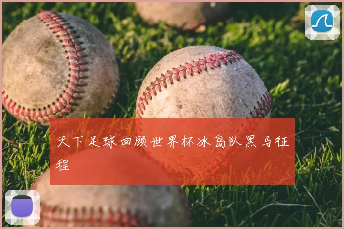 天下足球回顾世界杯冰岛队黑马征程