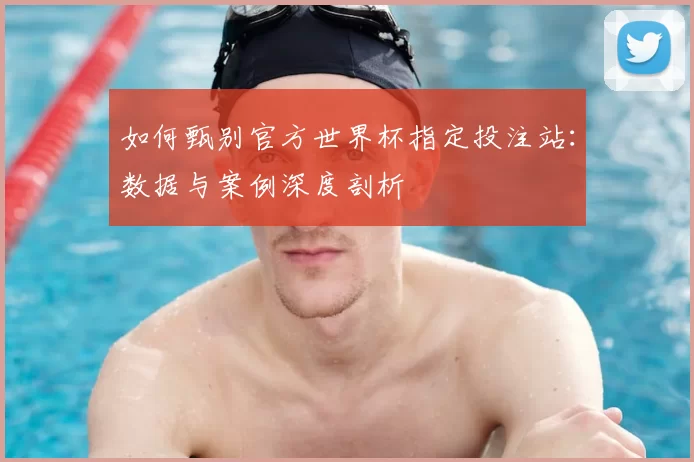 如何甄别官方世界杯指定投注站：数据与案例深度剖析