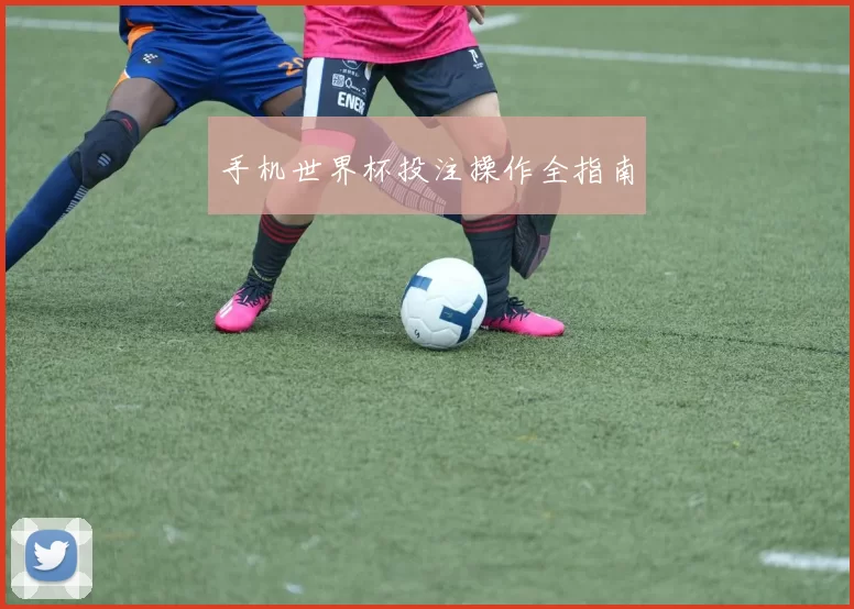 手机世界杯投注操作全指南