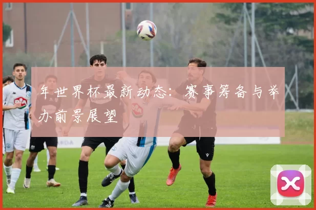 年世界杯最新动态：赛事筹备与举办前景展望