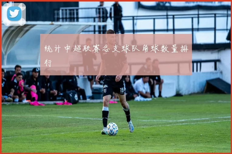 统计中超联赛各支球队角球数量排行