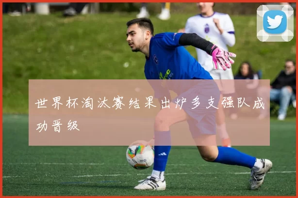 世界杯淘汰赛结果出炉多支强队成功晋级