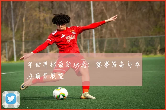 年世界杯最新动态:赛事筹备与举办前景展望