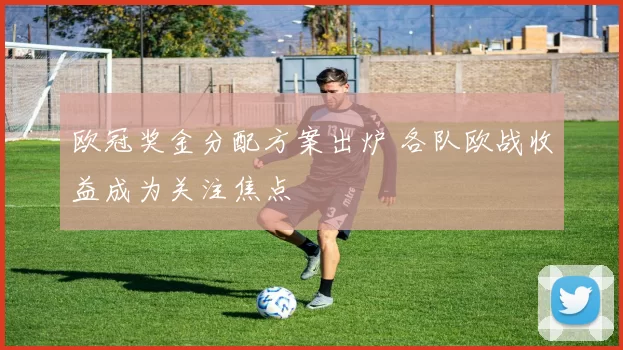 欧冠奖金分配方案出炉 各队欧战收益成为关注焦点