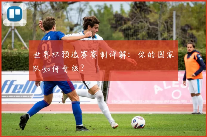 世界杯预选赛赛制详解:你的国家队如何晋级?