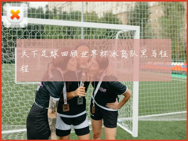 天下足球回顾世界杯冰岛队黑马征程