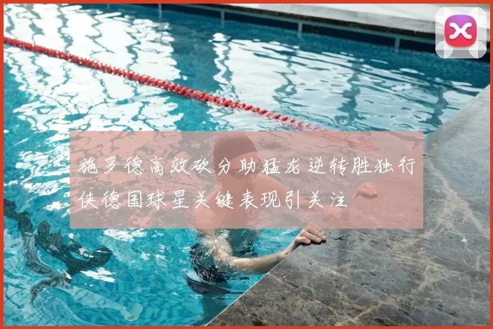 施罗德高效砍分助猛龙逆转胜独行侠德国球星关键表现引关注