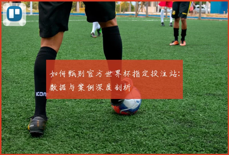 如何甄别官方世界杯指定投注站：数据与案例深度剖析